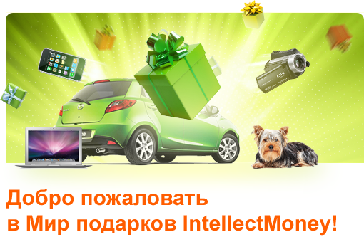      IntellectMoney!